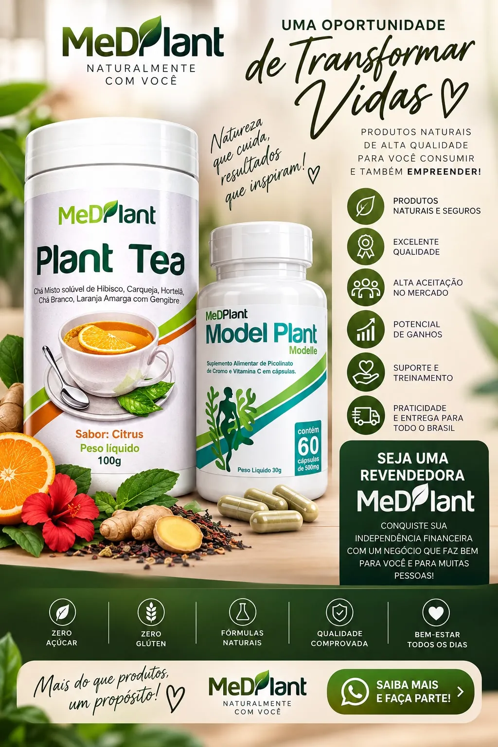 MedPlant: uma oportunidade de transformar vidas